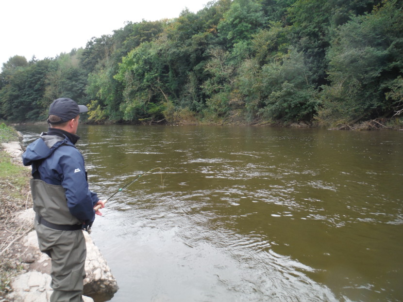 Last days of the salmon season